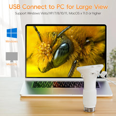 Connects to PC for larger viewing on Windows or Mac