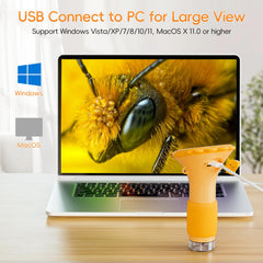 SKYBASIC USB PC connection expands viewing and study storage.