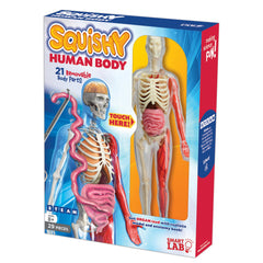 SmartLab QPG Lab educational toy showcasing squishy human anatomy for experiential learning.