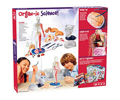 SMARTLAB Totally Squishy brain for interactive brain structure learning.