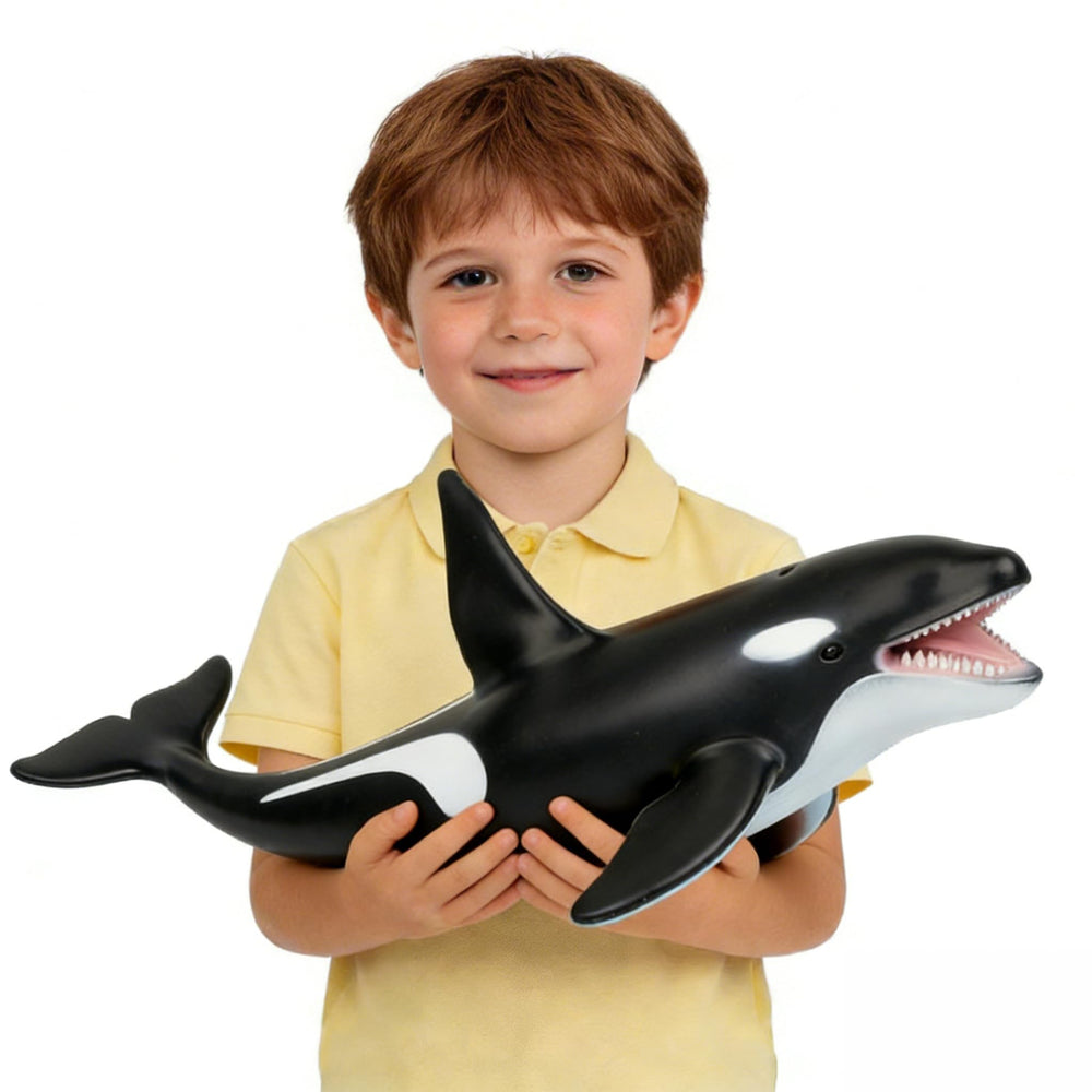 SmilerSmile killer whale figure, full body view, ideal for stage props and classroom displays.