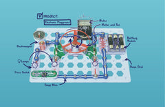 Snap Circuits Snaptricity lamp module—bright components for project ideas.