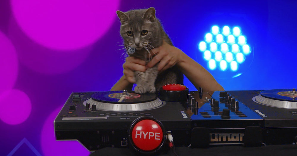 Sound RX Hype Button battery-included, ready to hype right out of the package.