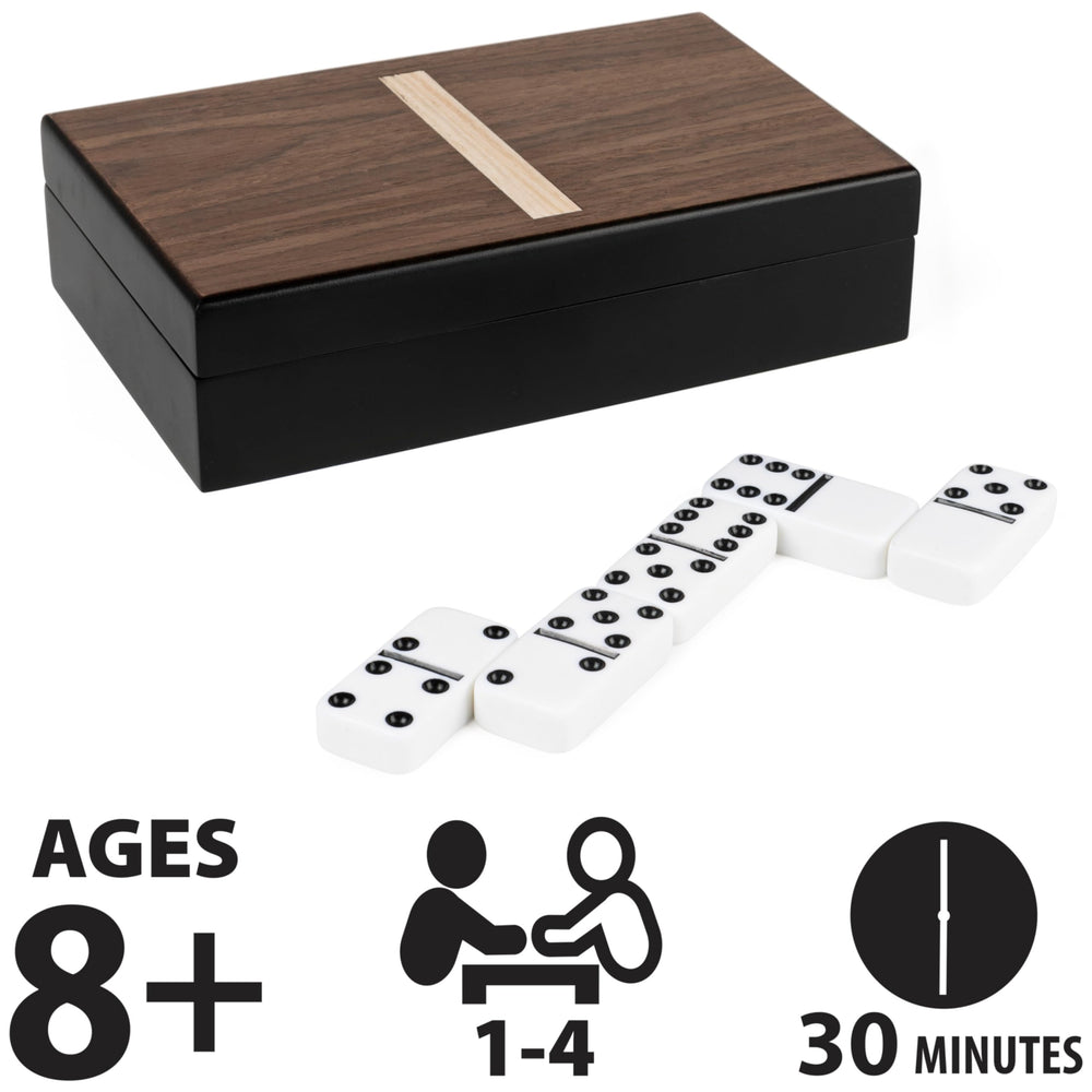Spin Master double-6 dominoes close-up showing black and white pieces with a smooth finish.