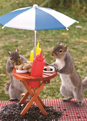 Springbok 350-piece squirrel feeder puzzle box showing playful squirrels for family bonding