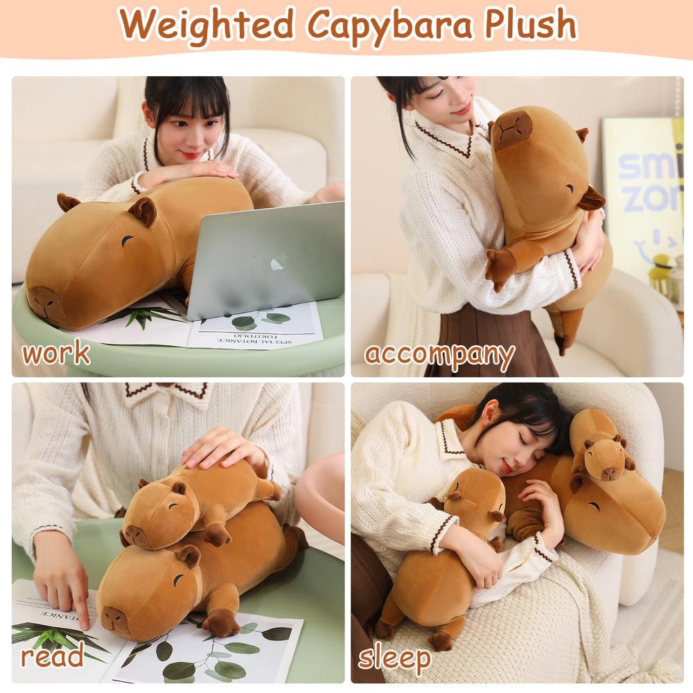 SQEQE weighted capybara plush on sofa creates cozy decor and comfort.