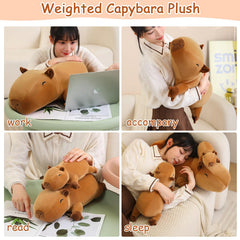 SQEQE weighted capybara plush on sofa creates cozy decor and comfort.