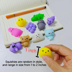 SquishiQ sensory fidget toys support stress relief during study breaks.