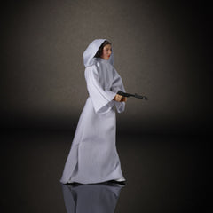 Star Wars Princess Leia 6-inch figure on a shelf-ready display