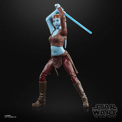 Authentic packaging and branding for STAR WARS The Black Series Aayla Secura.
