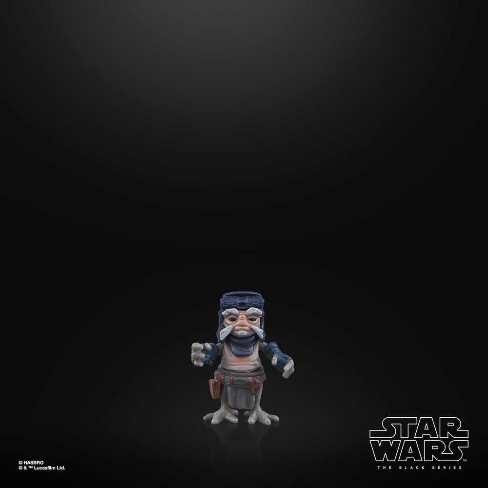 STAR WARS The Black Series detailed sculpt and paint deliver a faithful look.
