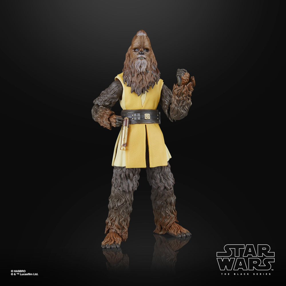 STAR WARS The Black Series packaging art enhances shelf presence.