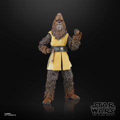 STAR WARS The Black Series packaging art enhances shelf presence.