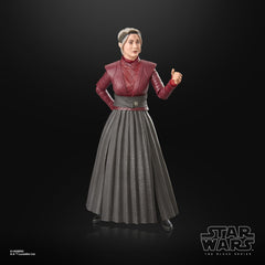 Premium deco highlights authentic Star Wars styling for collectors.