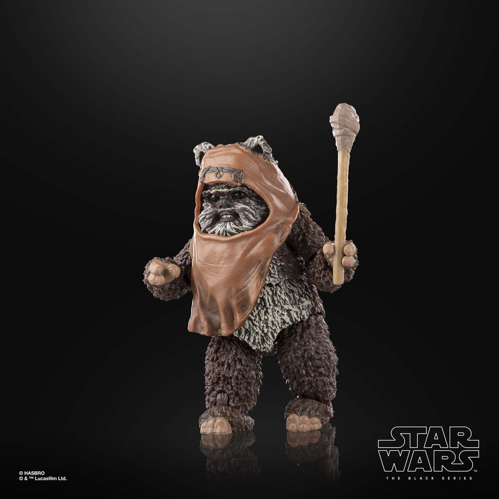 STAR WARS The Black Series Wicket W. Warrick premium deco for serious collectors.
