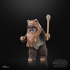 STAR WARS The Black Series Wicket W. Warrick premium deco for serious collectors.