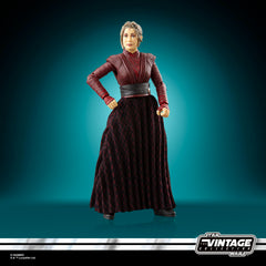 Premium 3.75-inch scale figure adds to cohesive Star Wars display