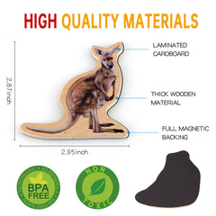 Steventoys safety-tested fridge magnets with calm, odorless finish.