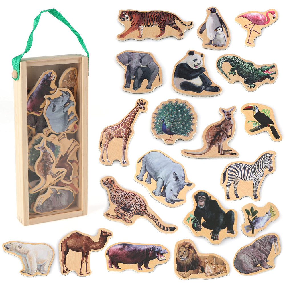 Steventoys Zoo Animal Fridge Magnets in use on a fridge, colorful and engaging.