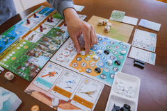 Stonemaier Wingspan Asia duet map layout for two-player head-to-head play