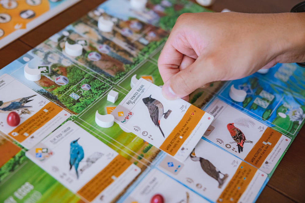 Stonemaier Wingspan Asia game components laid out for easy setup
