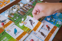 Stonemaier Wingspan Asia game components laid out for easy setup
