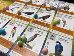 Stonemaier Wingspan Automa, solo mode offering a satisfying single-player challenge.