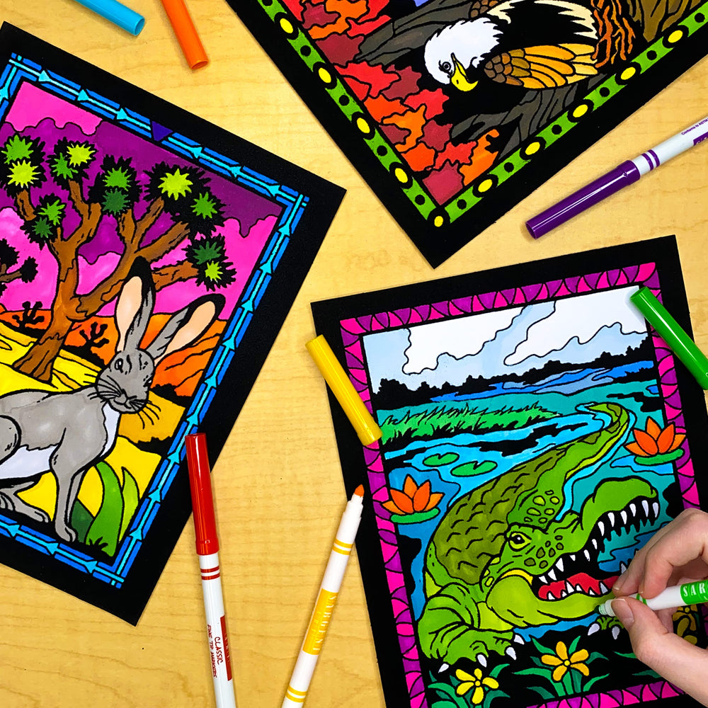 Stuff2Color National Parks posters uncolored for creative exploration.