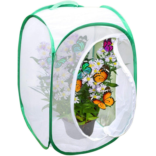 SunGrow butterfly habitat front view with clear windows for observation and airflow.