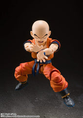 Figure assembled and ready for display on shelf