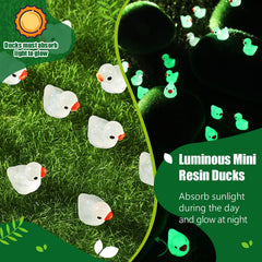 Tarpop luminous ducks provide durable outdoor accents even in rain.