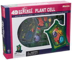 TEDCO Famemaster plant cell 6-inch model reveals internal structures for hands-on learning
