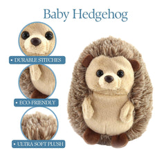 The Petting Zoo hedgehog plush gift-ready, perfect for birthdays.