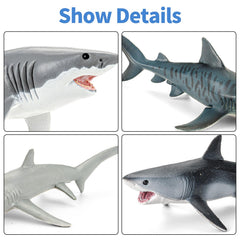 ThinkBay educational ocean-themed toys blend play with learning.