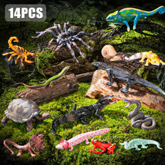 THINKBAY Komodo Dragon figure enhances diorama realism and exploratory play.