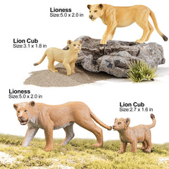 THINKBAY lion cubs capture playful energy for classroom storytelling