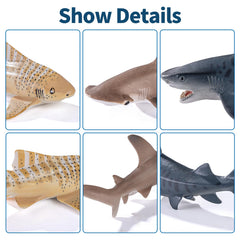 THINKBAY Blue Shark figurine for bath time adventures and educational decor.