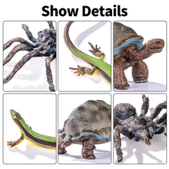 THINKBAY Tree Frog figure brings vibrant color to classrooms and playtime.