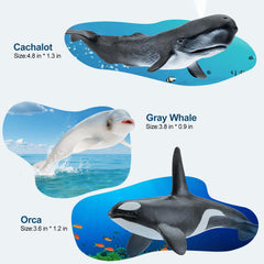 THINKBAY beluga figurine enhances sensory play and nautical display.