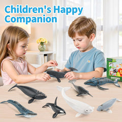 THINKBAY north atlantic right whale figurine aids marine education displays.