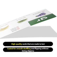 Think Tank Scholar laminated flashcards offer durable use for daily review and activities.