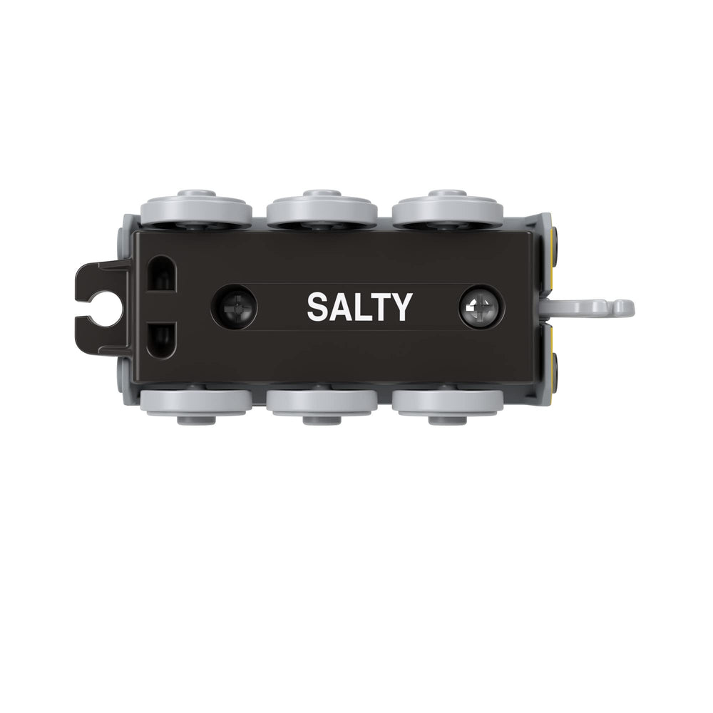 Thomas & Friends Salty compatible with other trains to expand your collection.