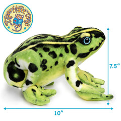 TigerHart Frisco the Frog front view with story card for imaginative play.