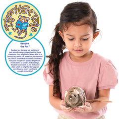 TigerHart Reuben the Rat plush with a huggable design for gentle play.