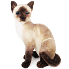 TigerHart Stefan Siamese Cat ears close-up, inviting cuddles and playful imagination.