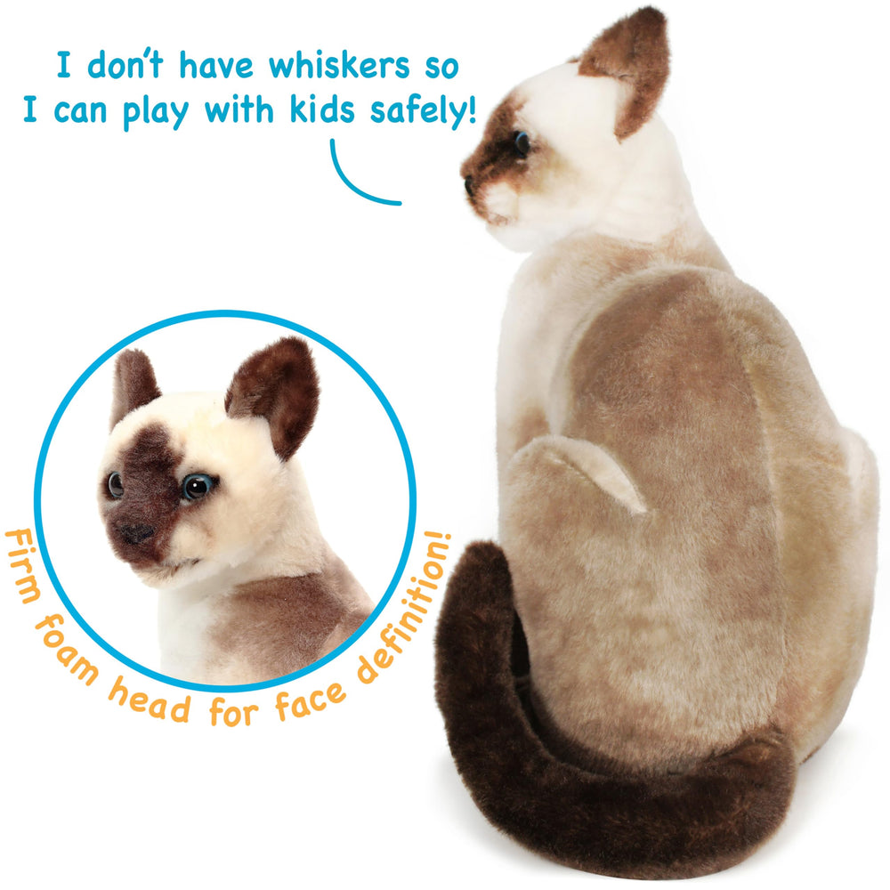 TigerHart Stefan Siamese Cat foamed head maintains a friendly appearance.