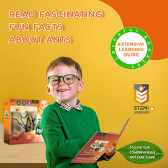 Tigerific Ant Farm colorful learning booklet enhances science curiosity with kid-friendly facts.