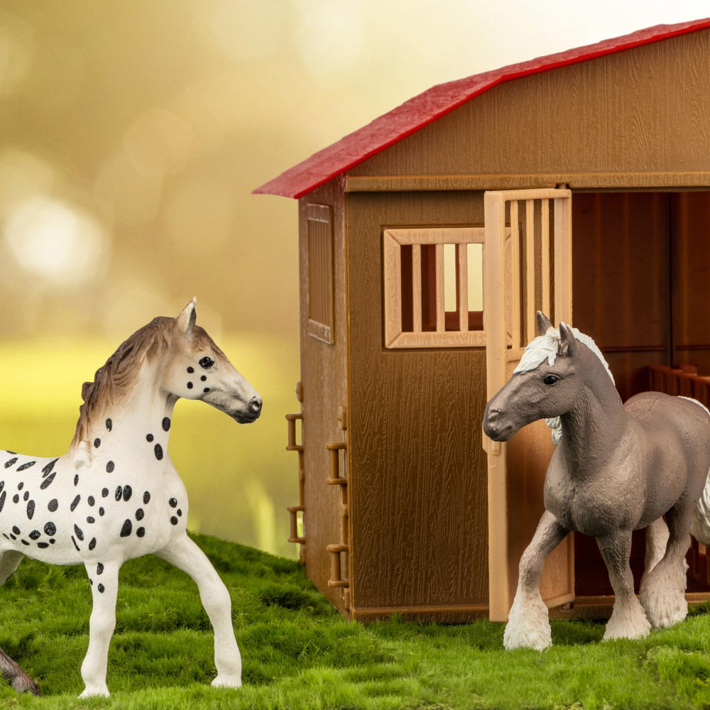 TikOnsYol breed variety includes Icelandic, Appaloosa, Fjord, and more showcased.