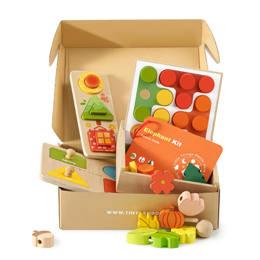 Tiny Land Montessori 4-in-1 wooden learning toy with color sorting to boost dexterity.