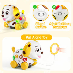 Nine cheerful songs accompany color-rich buttons for learning through play.